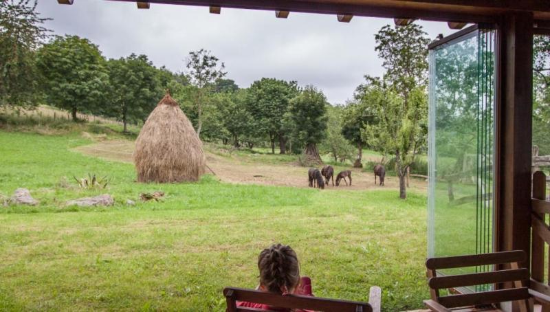 Hostal El Conventu Del Asturcon Lago  Exterior foto